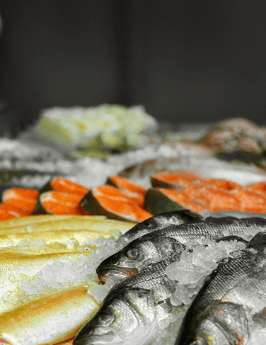 FROZEN FISH & SEAFOOD PACKS